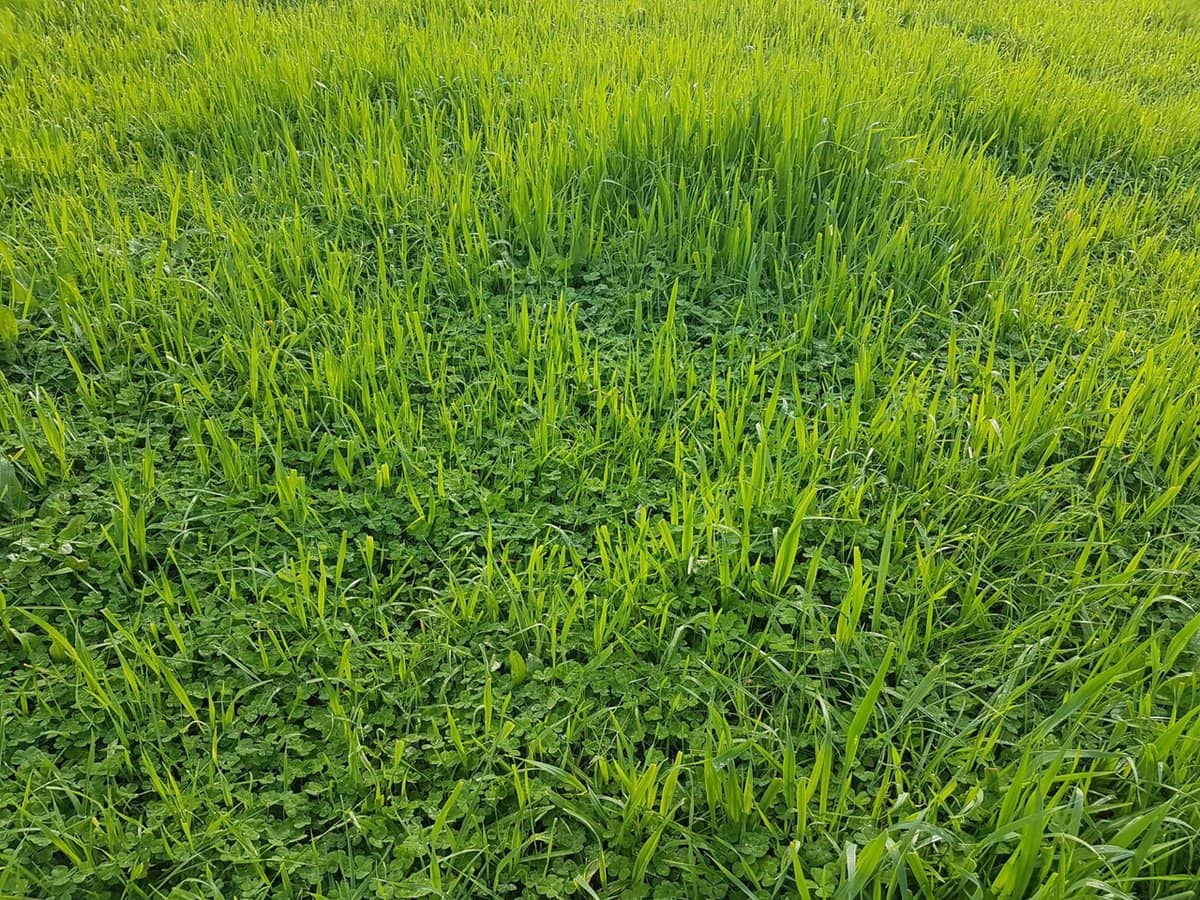 3924 Hume Highway, Tarcutta - Thumbnail 29