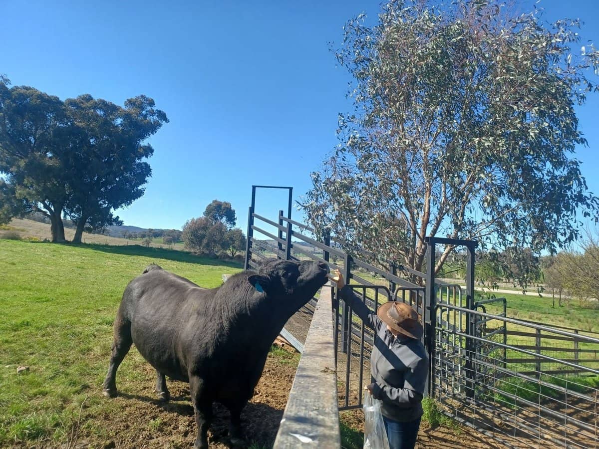 3924 Hume Highway, Tarcutta - Thumbnail 30