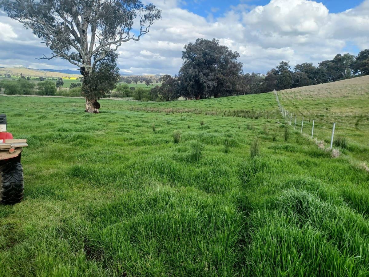 3924 Hume Highway, Tarcutta - Thumbnail 35