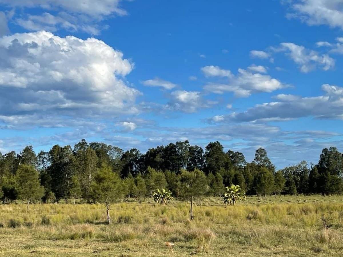 Lot 176 Dodds Road, Chinderah - Thumbnail 6