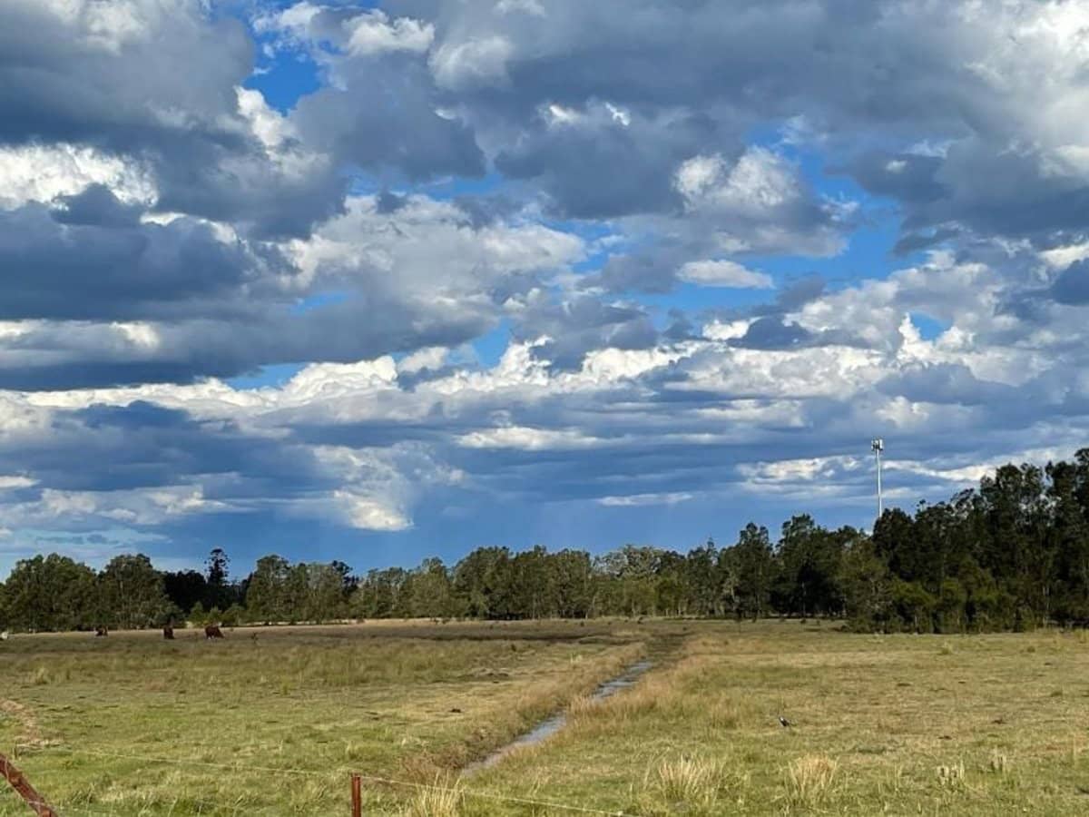 Lot 176 Dodds Road, Chinderah - Thumbnail 7