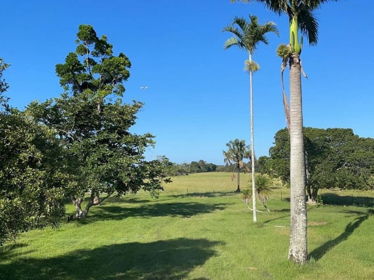 Lot 176 Dodds Road, Chinderah - Thumbnail 12