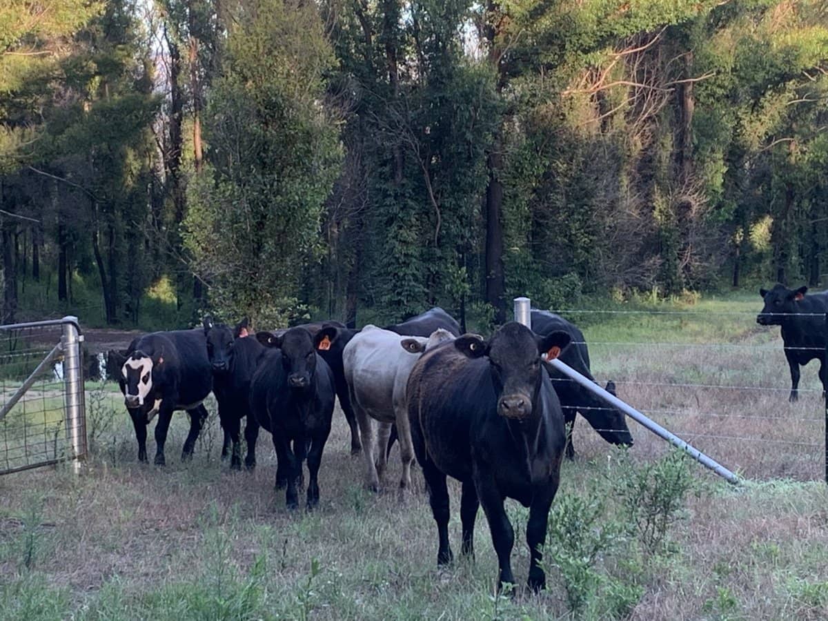 65d Marden Lane, Kangaroo Valley - Thumbnail 33