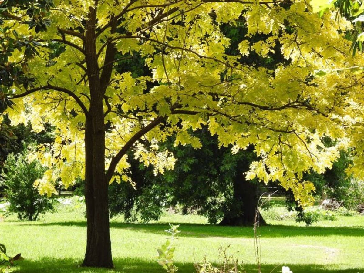 6 Holme Street, Terara - Thumbnail 26