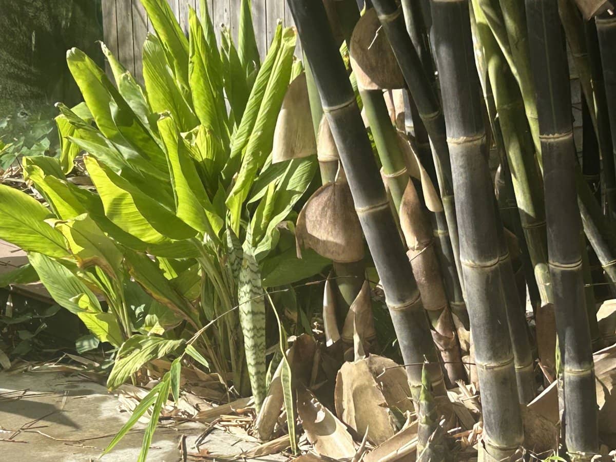 6 Holme Street, Terara - Thumbnail 32