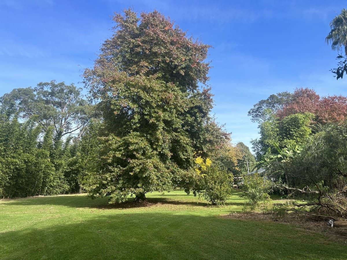 6 Holme Street, Terara - Thumbnail 33