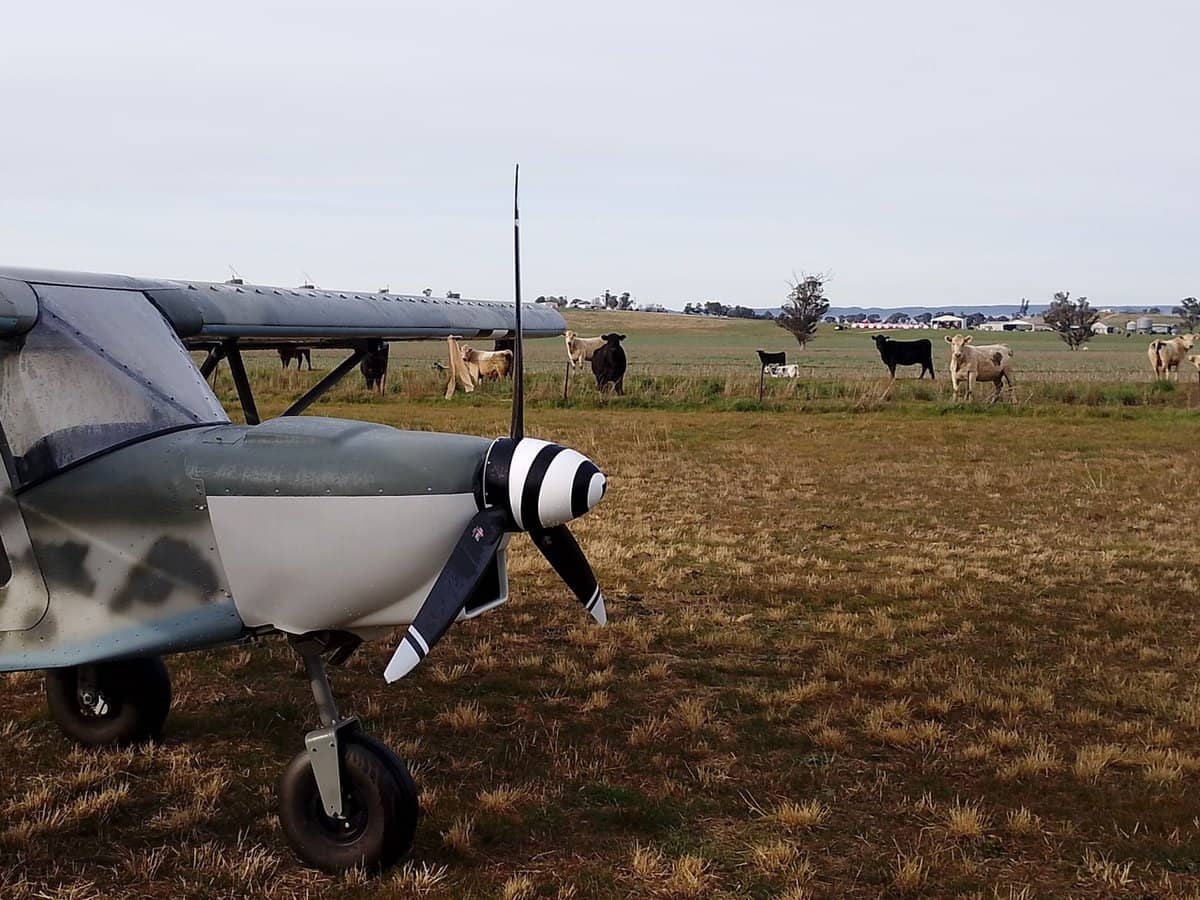 14317 Golden Highway, Dunedoo - Thumbnail 3