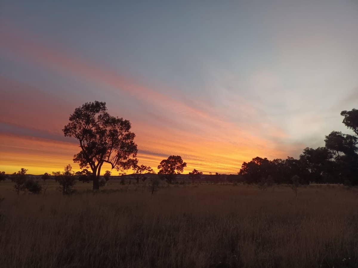 14317 Golden Highway, Dunedoo - Thumbnail 4