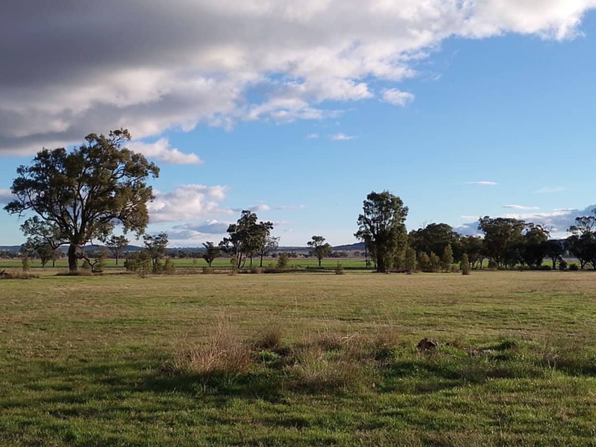 14317 Golden Highway, Dunedoo - Thumbnail 5