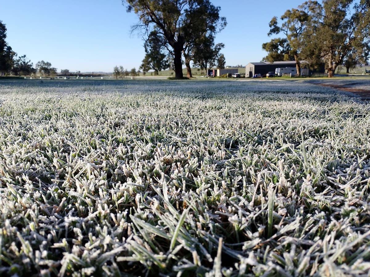 14317 Golden Highway, Dunedoo - Thumbnail 6