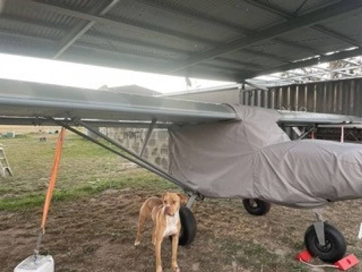 14317 Golden Highway, Dunedoo - Thumbnail 17