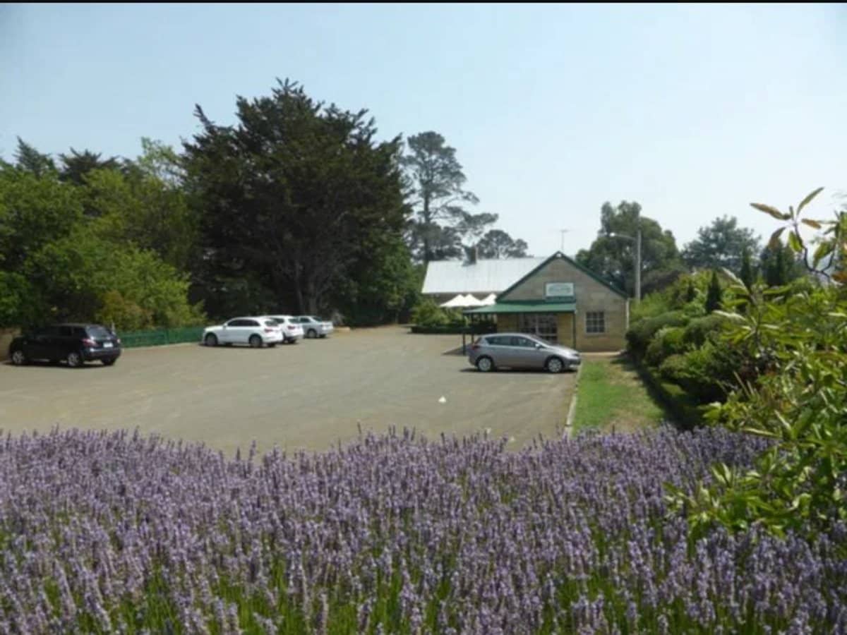 44 High Street, Oatlands - Thumbnail 10