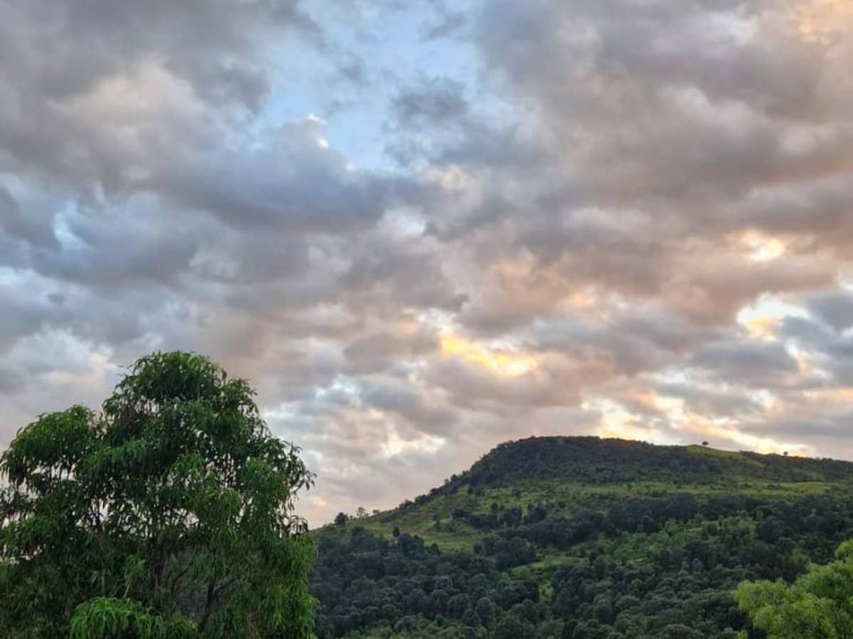 697 ingoldsby Road, Ingoldsby - Thumbnail 2