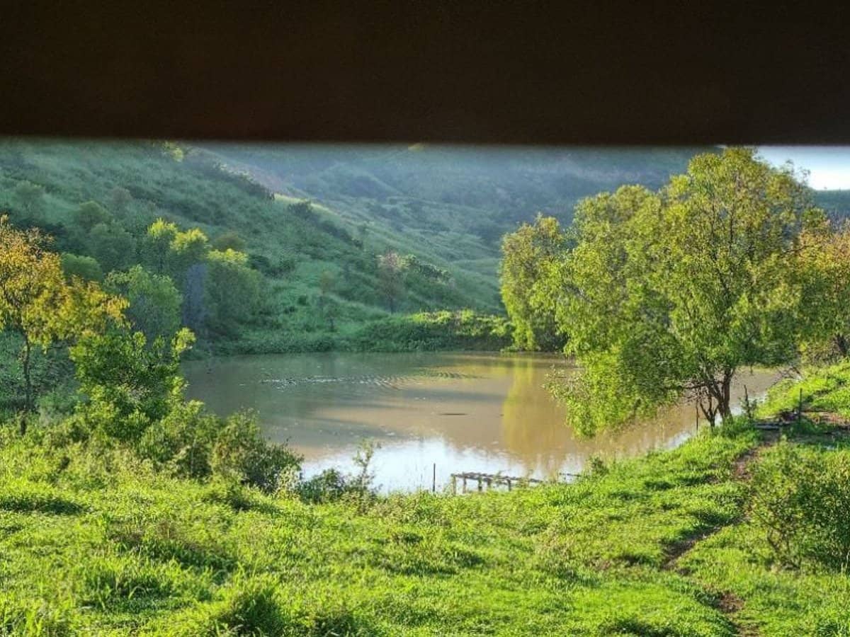 697 ingoldsby Road, Ingoldsby - Thumbnail 3