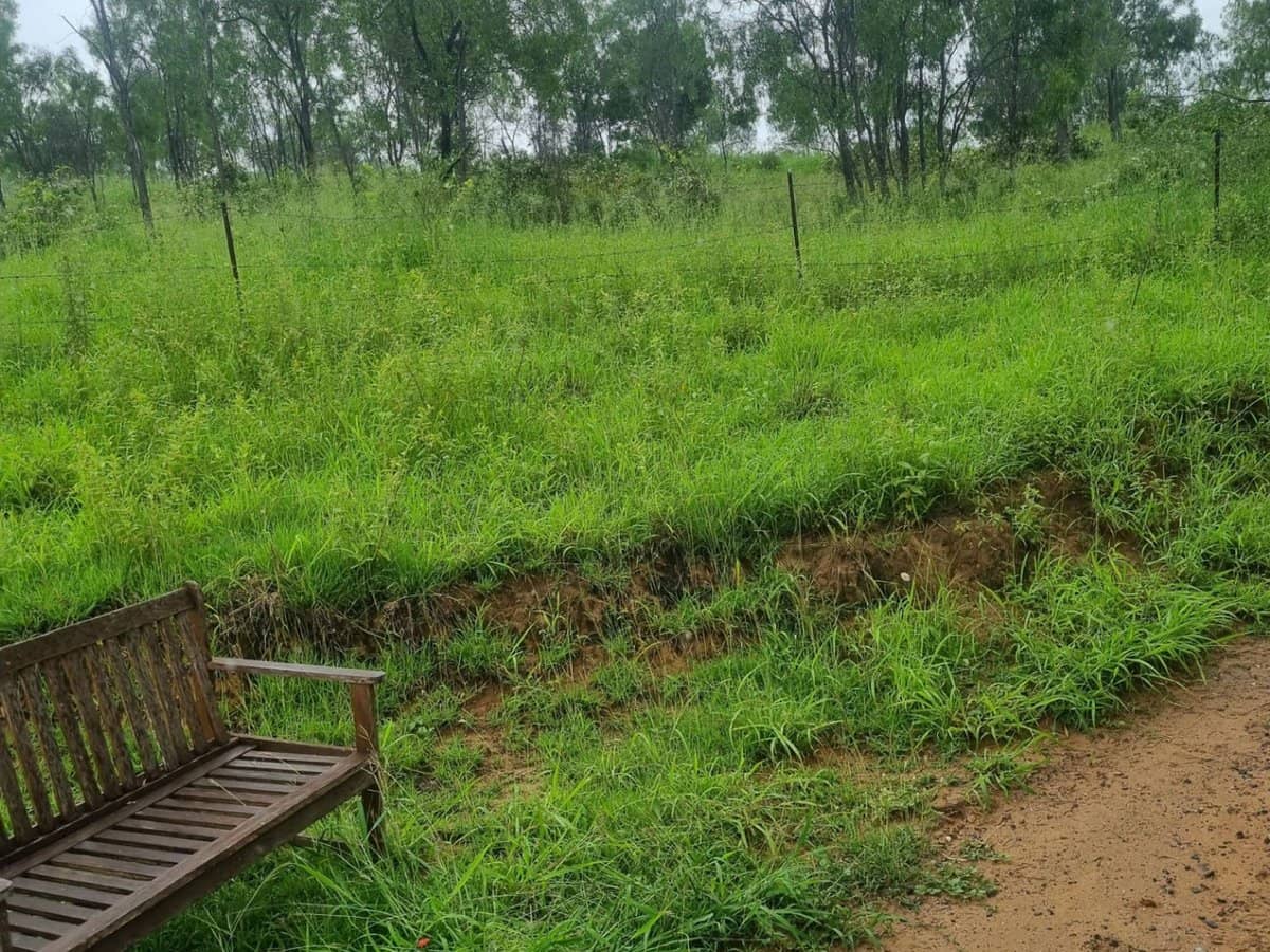 697 ingoldsby Road, Ingoldsby - Thumbnail 7