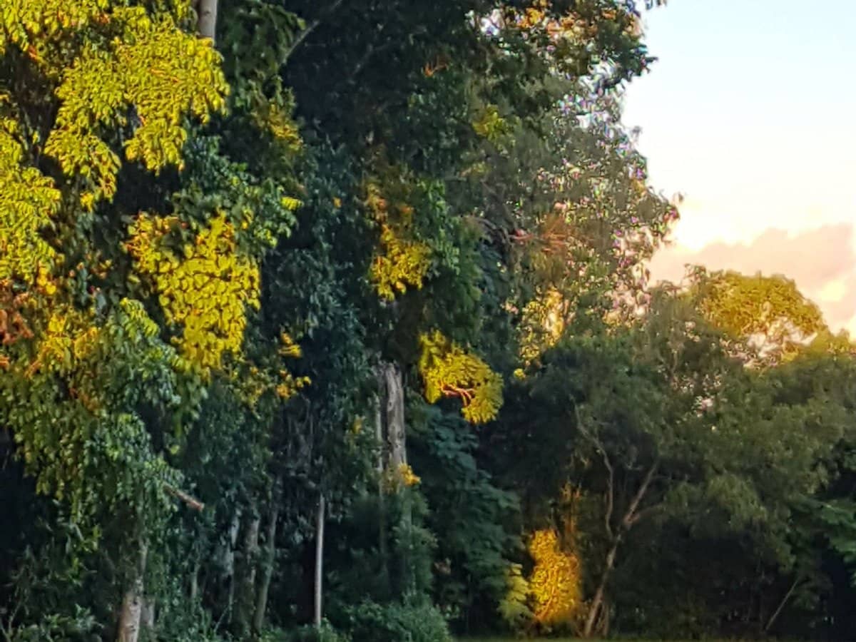 29 Railway Avenue, Cooktown - Thumbnail 2