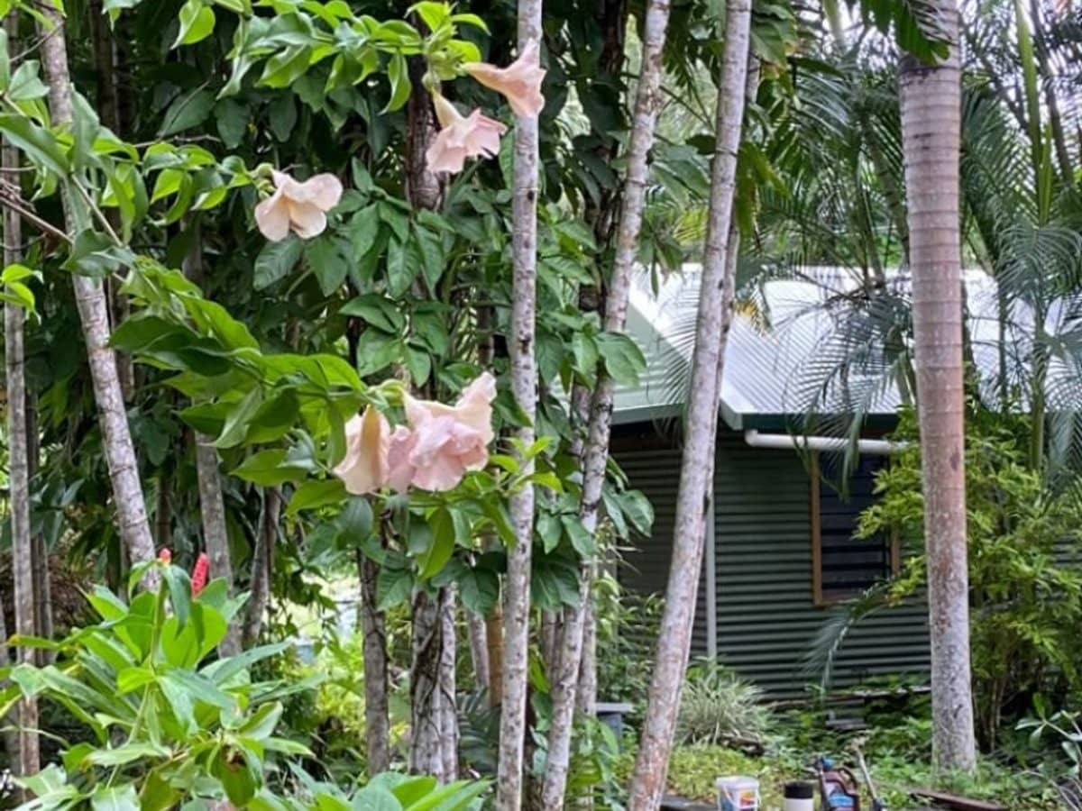 29 Railway Avenue, Cooktown - Thumbnail 18