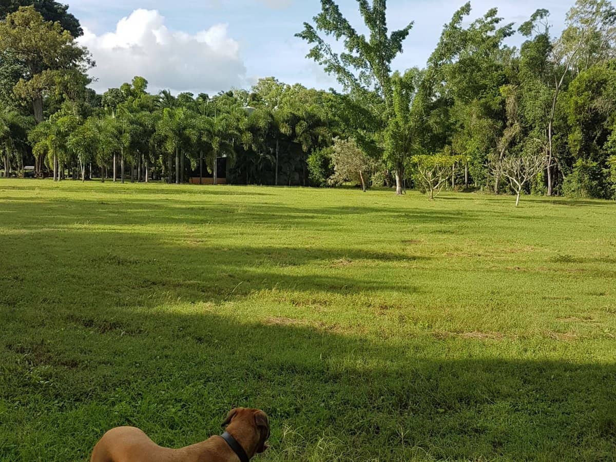 29 Railway Avenue, Cooktown - Thumbnail 20