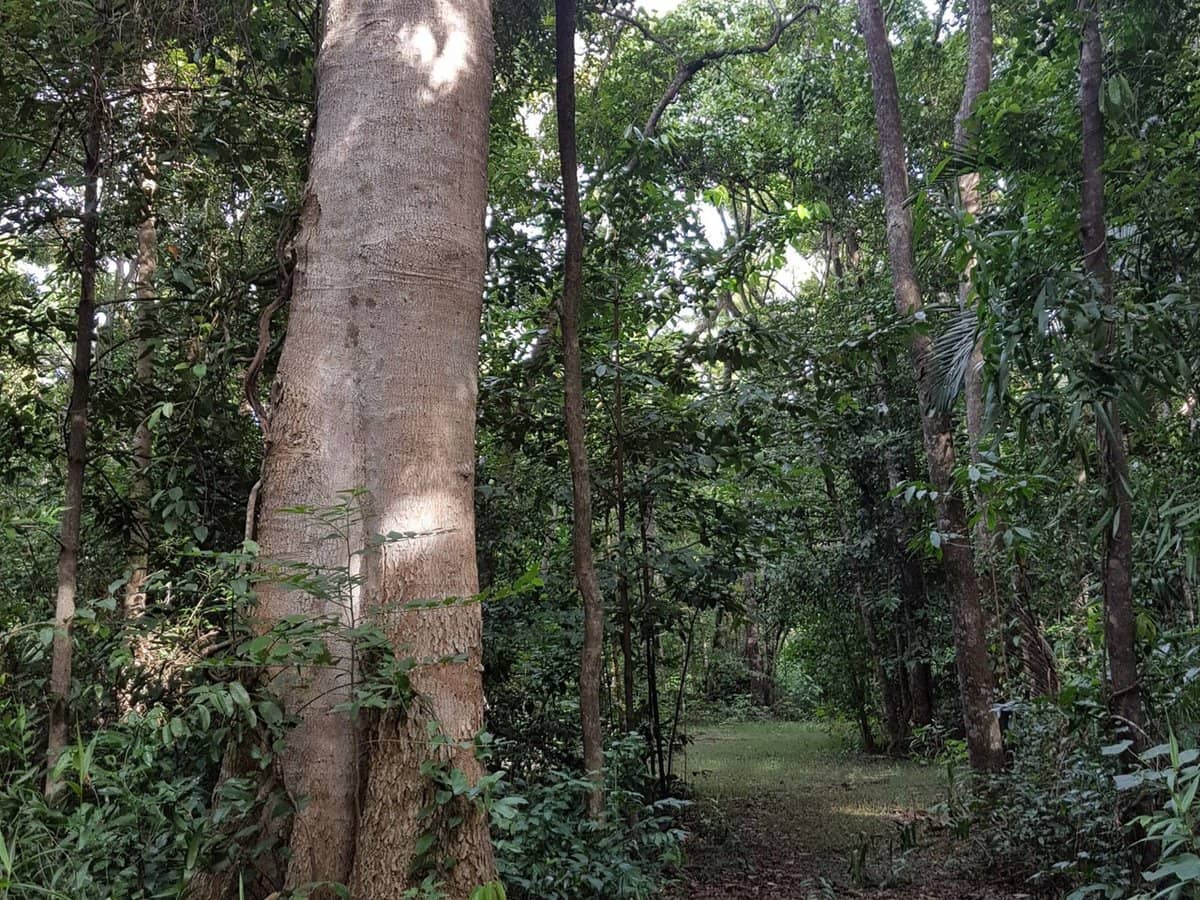 29 Railway Avenue, Cooktown - Thumbnail 23