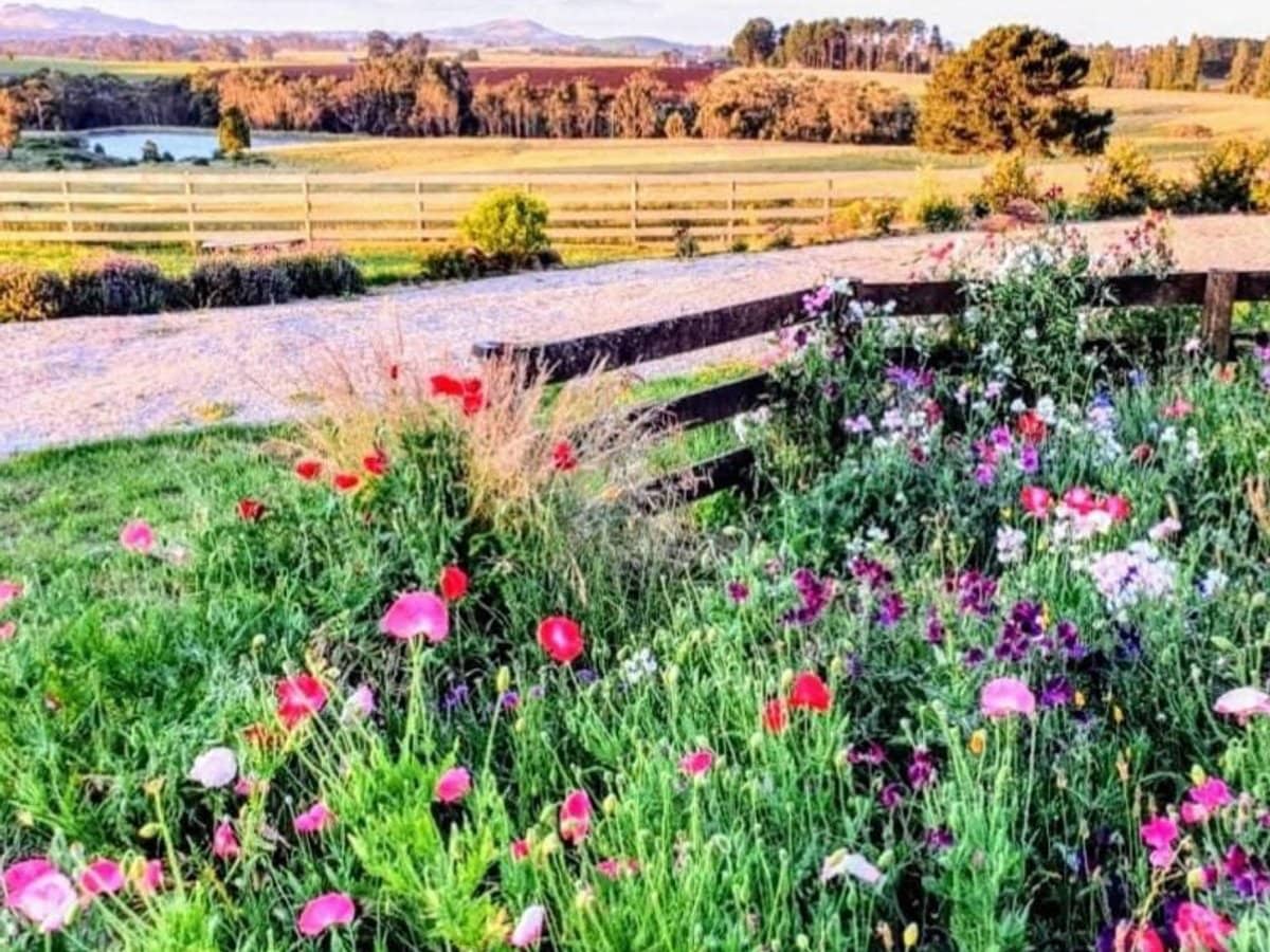 1219 BALLARAT DAYLESFORD Road, Dean - Thumbnail 26