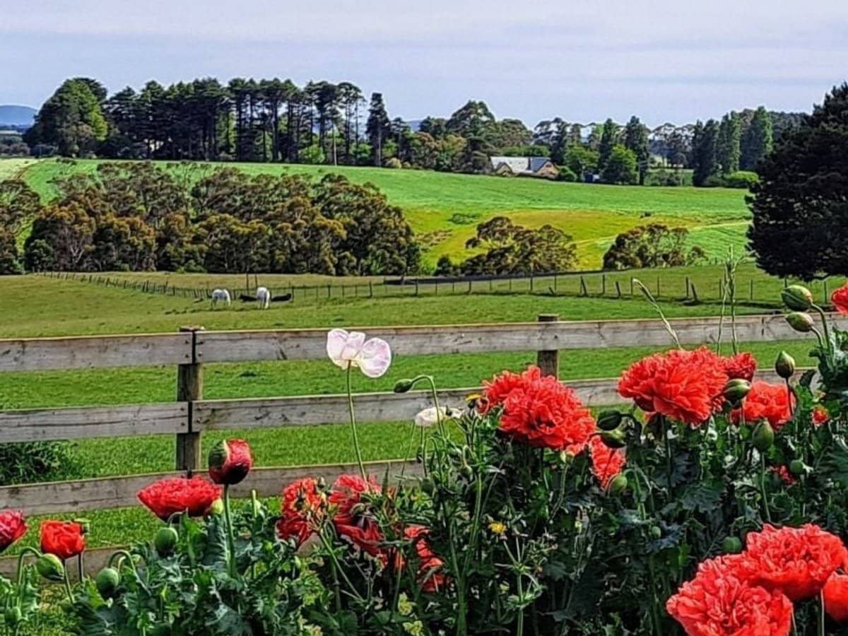 1219 BALLARAT DAYLESFORD Road, Dean - Thumbnail 27