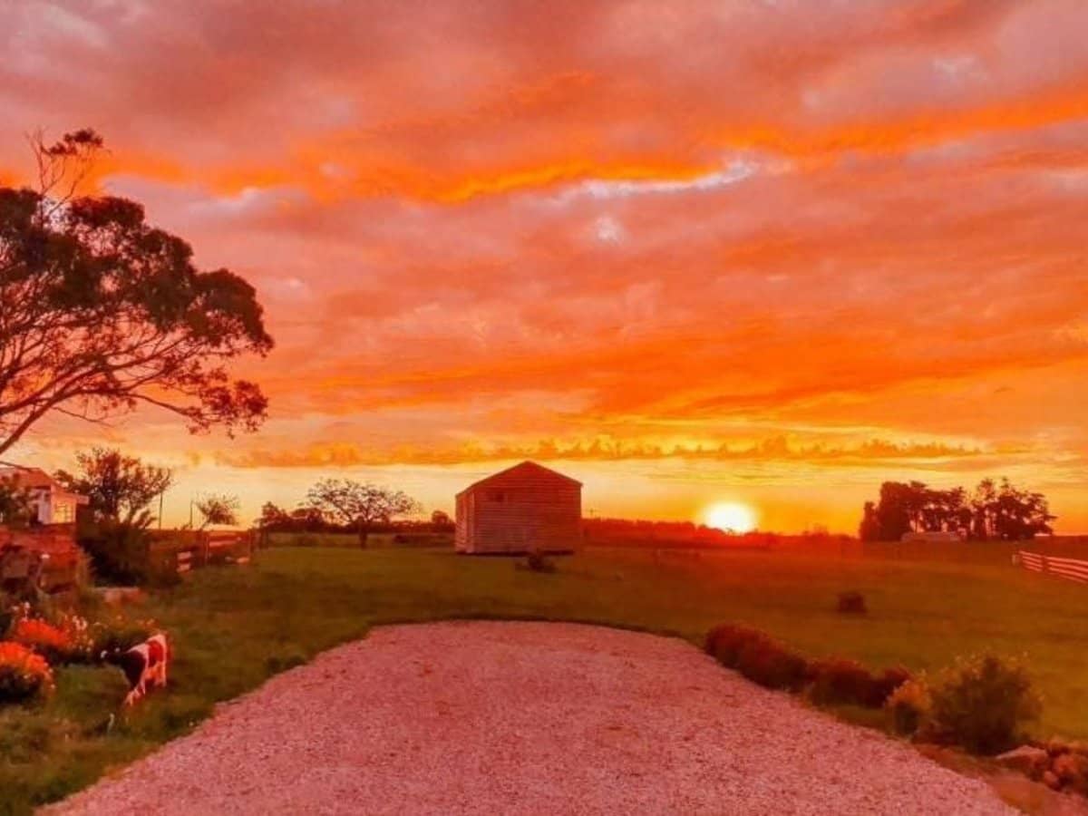 1219 BALLARAT DAYLESFORD Road, Dean - Thumbnail 29