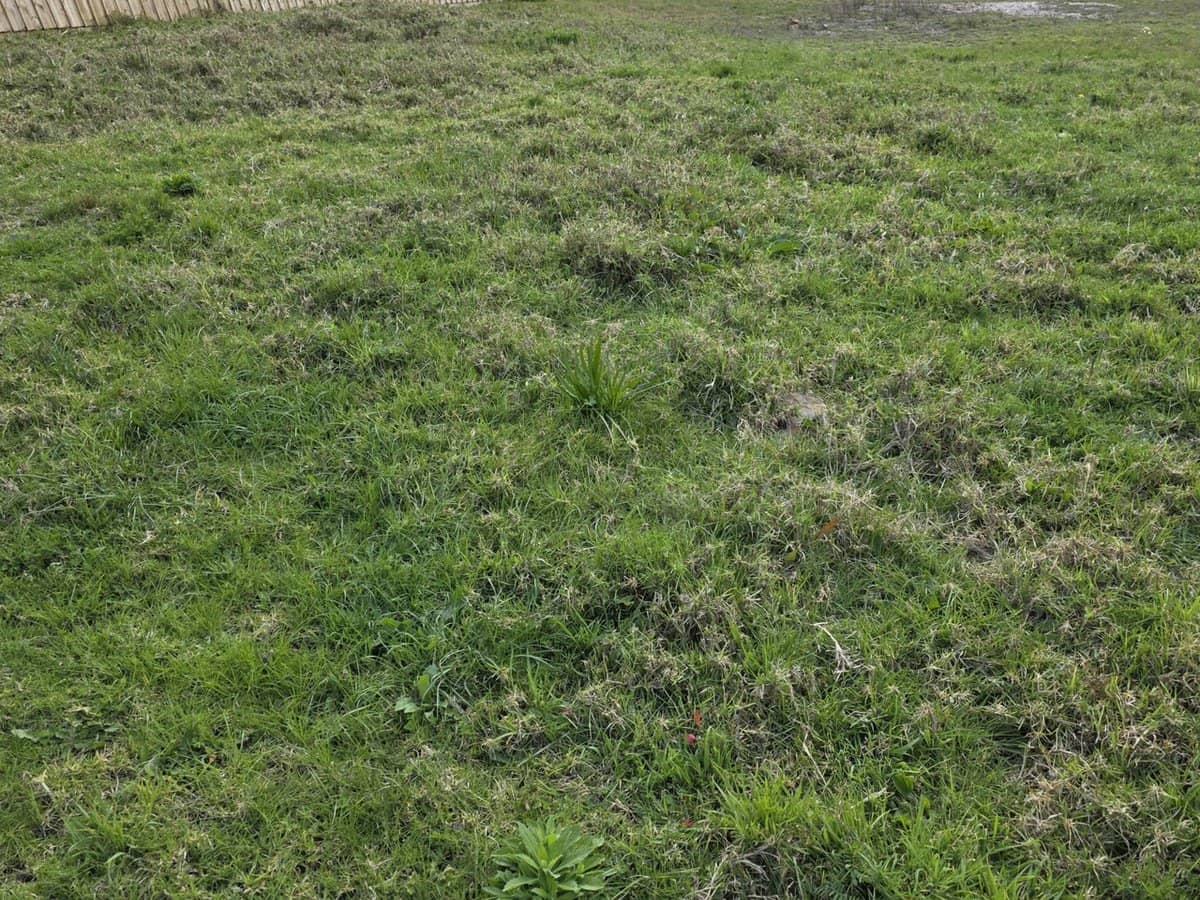 13 Oskar Court, Pakenham - Thumbnail 4