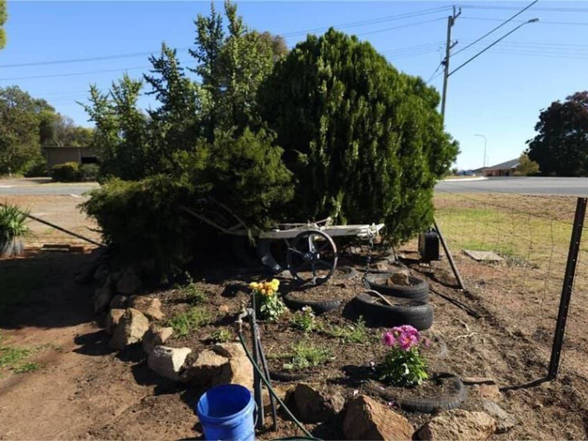 20 Lewis, Coolamon - Thumbnail 33