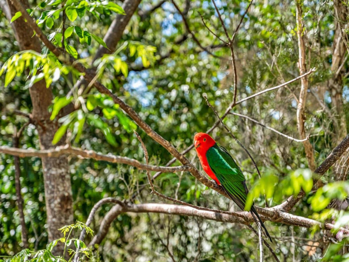 20a/1953 Chichester Dam Road, Bandon Grove - Thumbnail 34