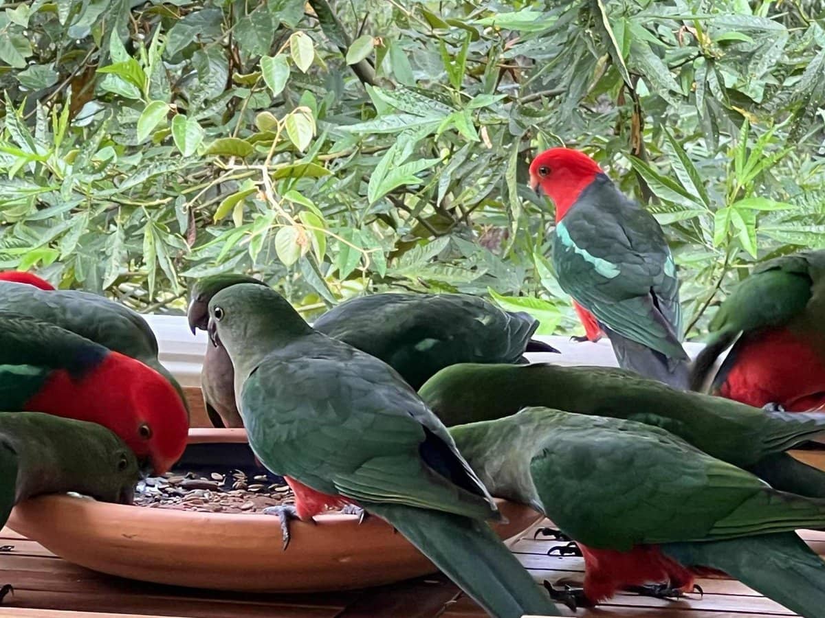 20a/1953 Chichester Dam Road, Bandon Grove - Thumbnail 35