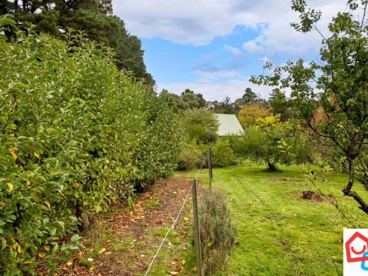 412 Smythesdale Snake Valley Road, Hillcrest - Thumbnail 22