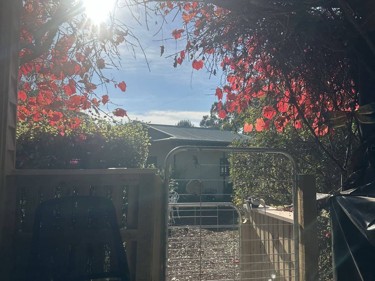 412 Smythesdale Snake Valley Road, Hillcrest - Thumbnail 26