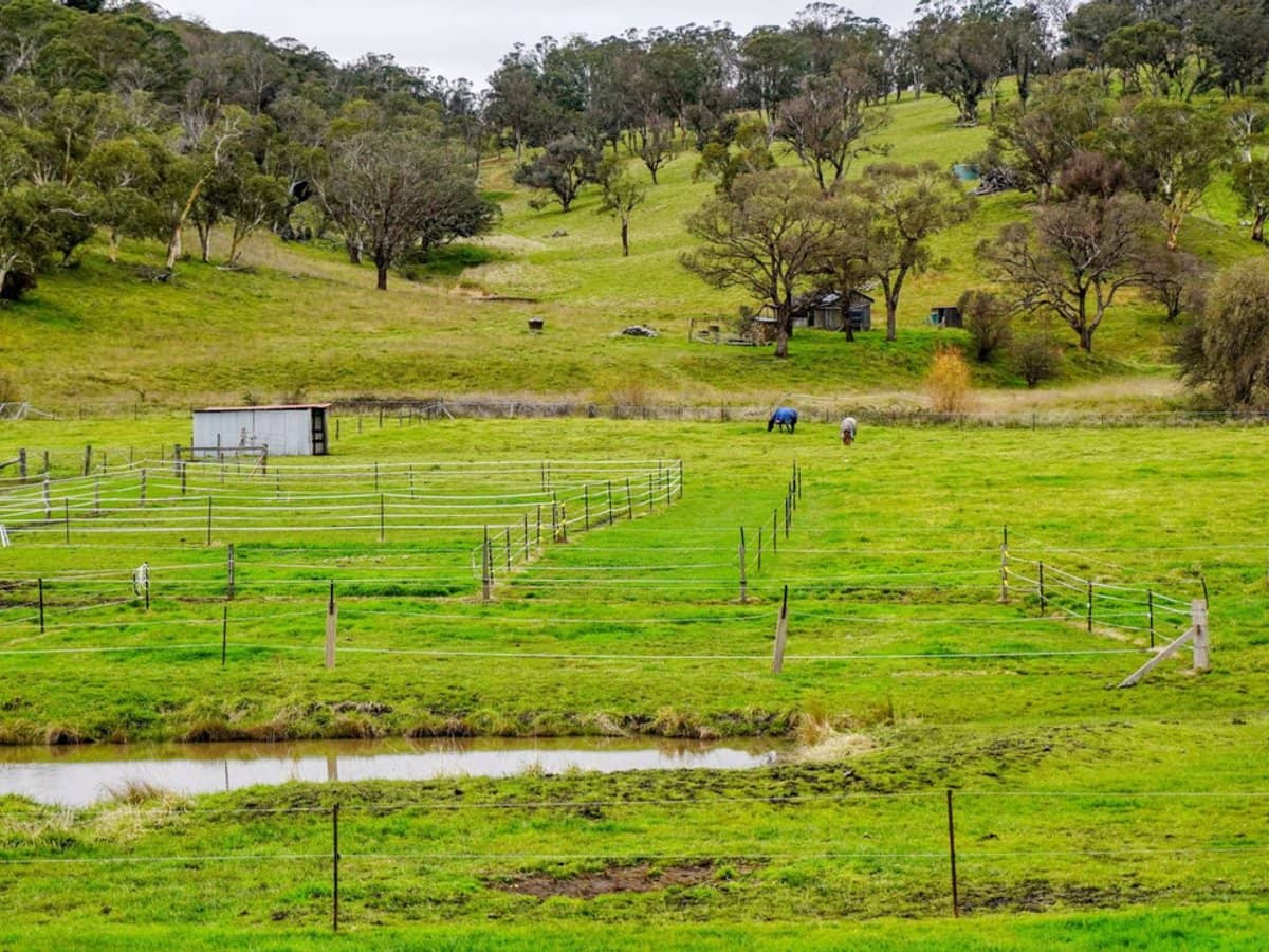 105S Derby Street, Walcha - Thumbnail 1