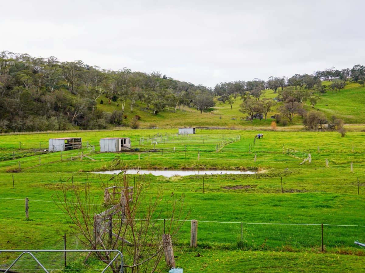 105S Derby Street, Walcha - Thumbnail 19