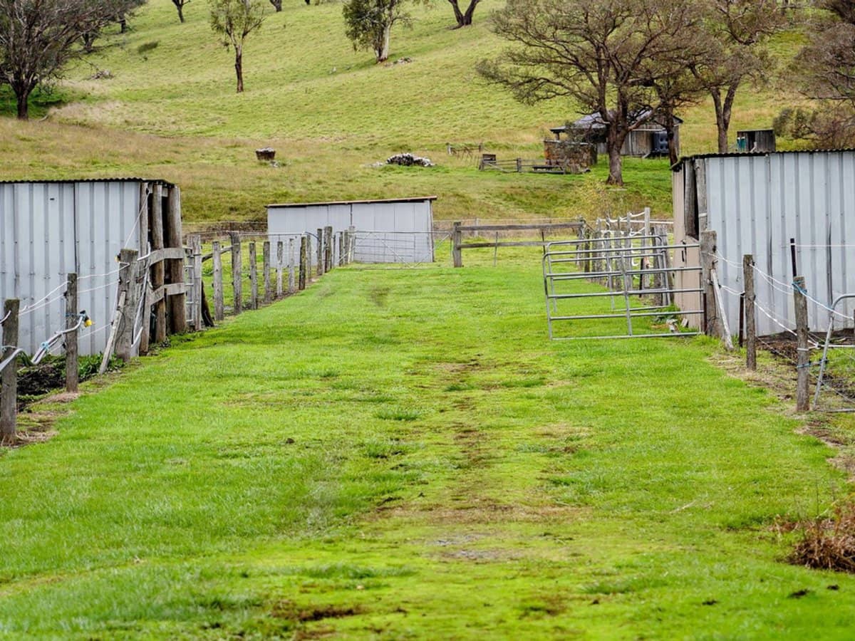 105S Derby Street, Walcha - Thumbnail 20