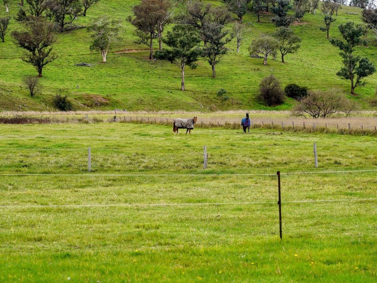 105S Derby Street, Walcha - Thumbnail 21