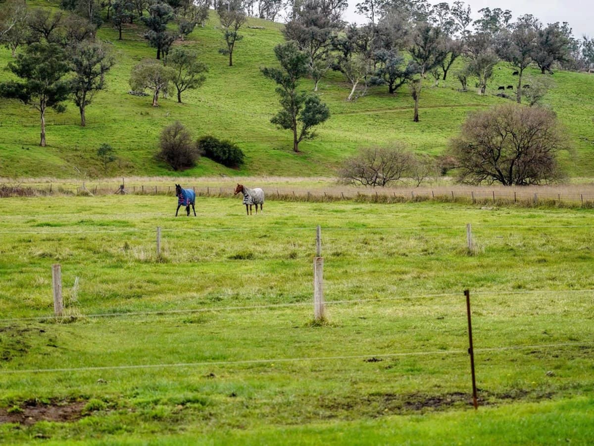 105S Derby Street, Walcha - Thumbnail 22