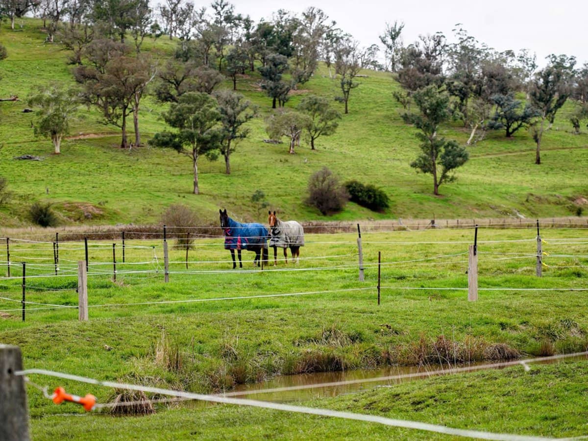 105S Derby Street, Walcha - Thumbnail 23