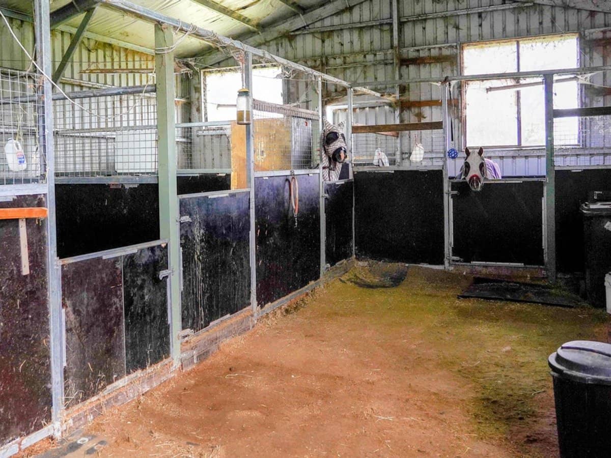 105S Derby Street, Walcha - Thumbnail 26