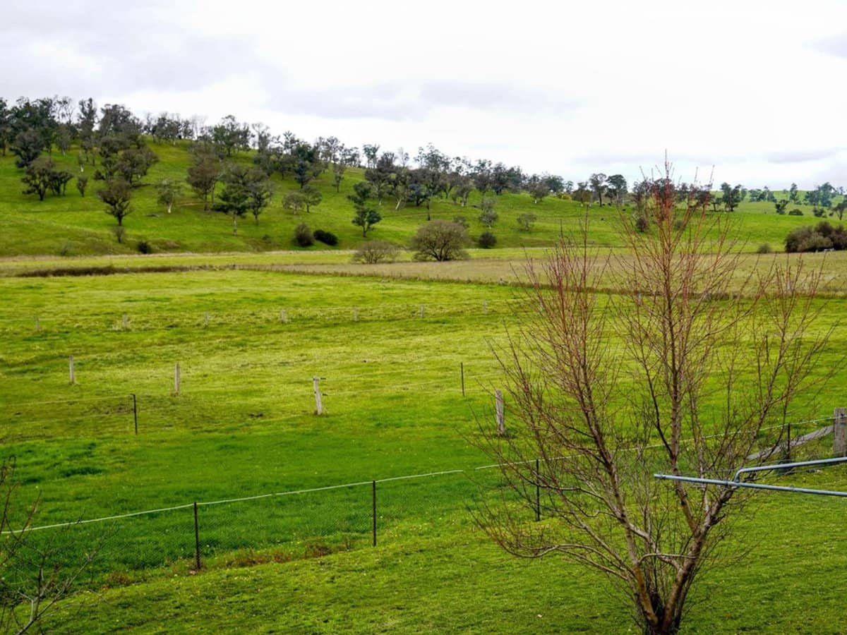 105S Derby Street, Walcha - Thumbnail 28