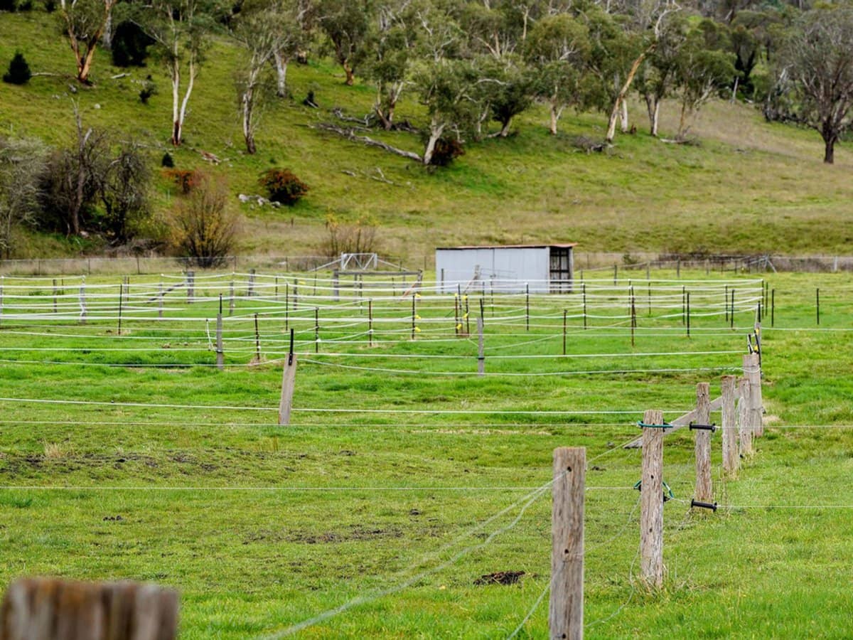 105S Derby Street, Walcha - Thumbnail 29
