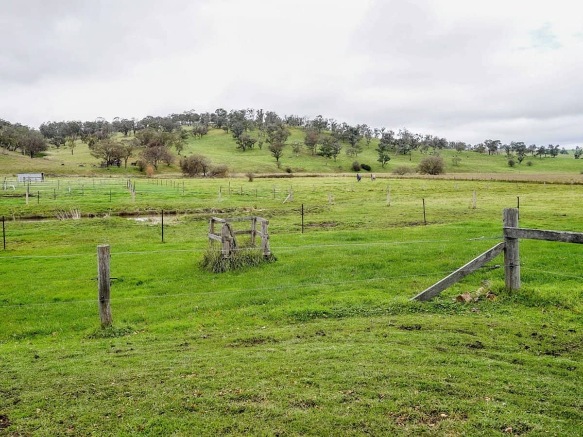 105S Derby Street, Walcha - Thumbnail 30