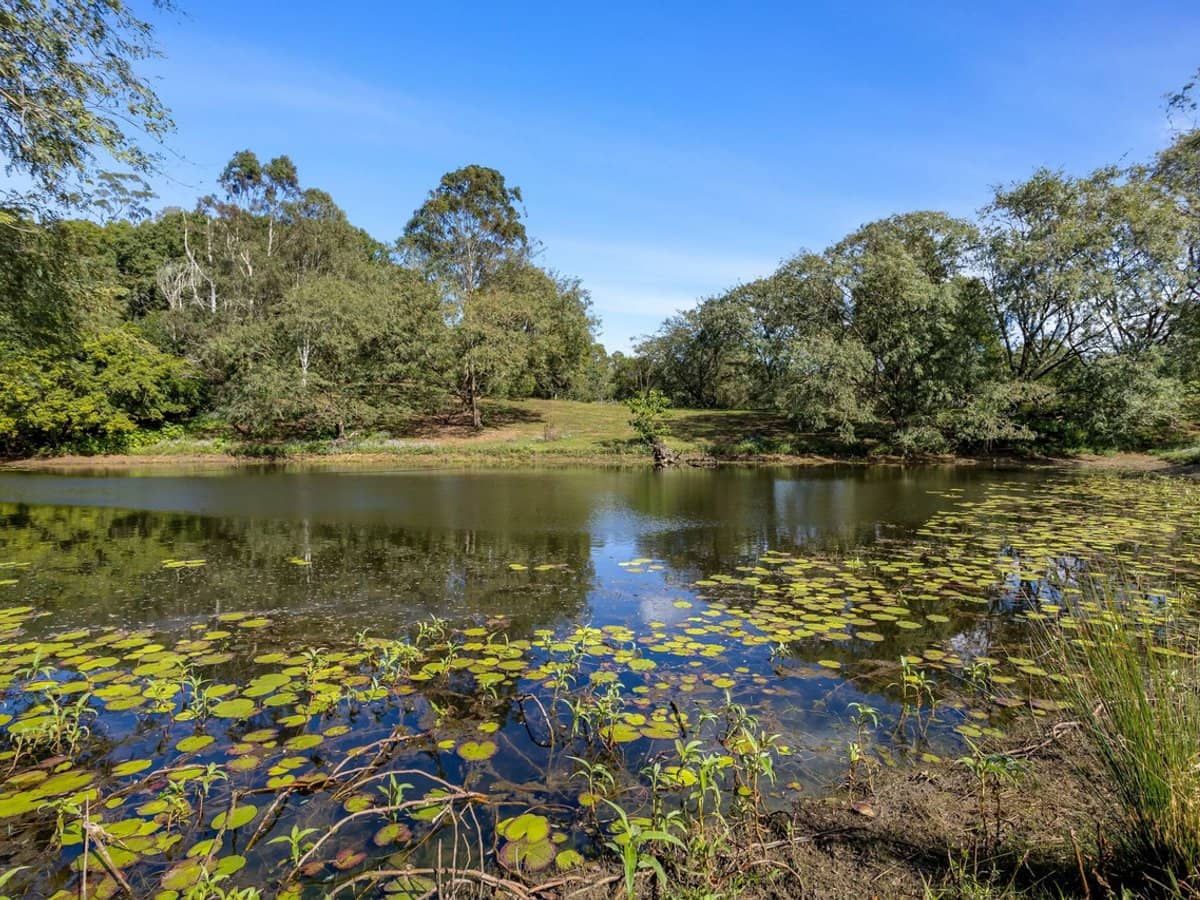 855 Campbells Pocket Road, Campbells Pocket - Thumbnail 17