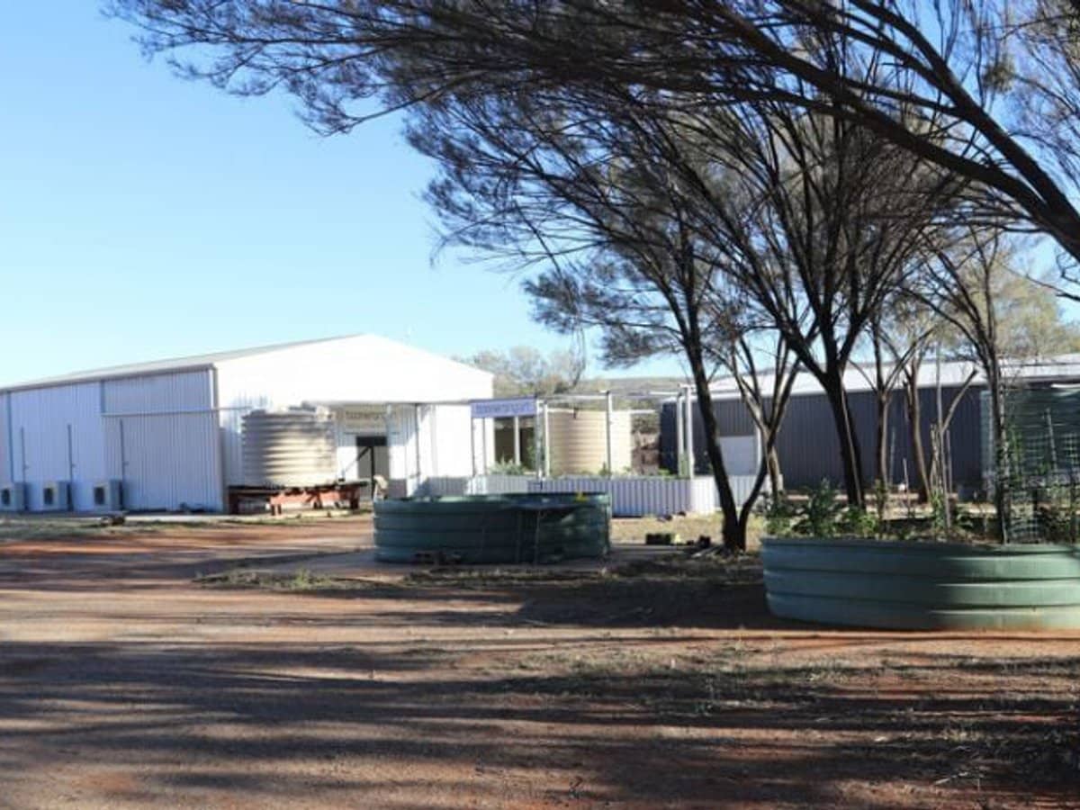 14 Brumby Road, Alice Springs - Thumbnail 22