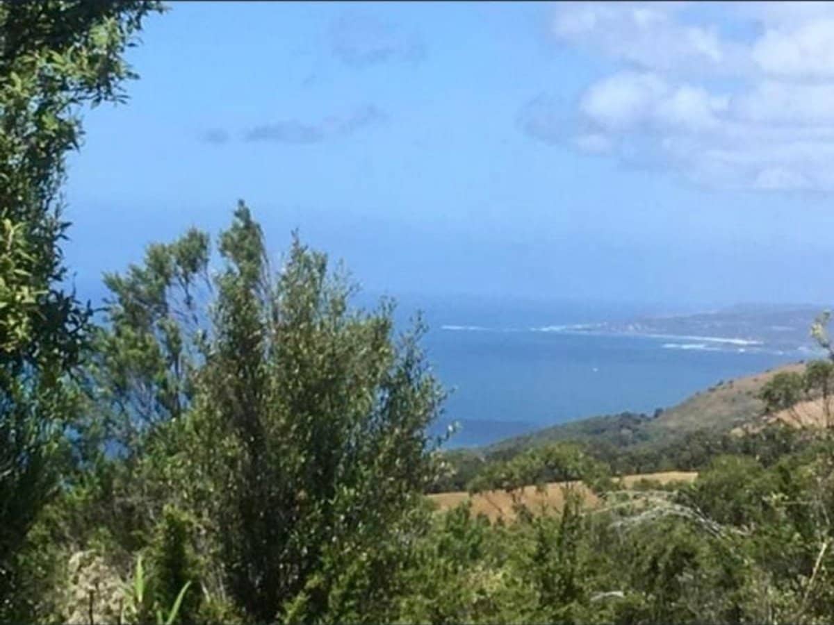 340 Sunnyside Road, Wongarra - Thumbnail 1