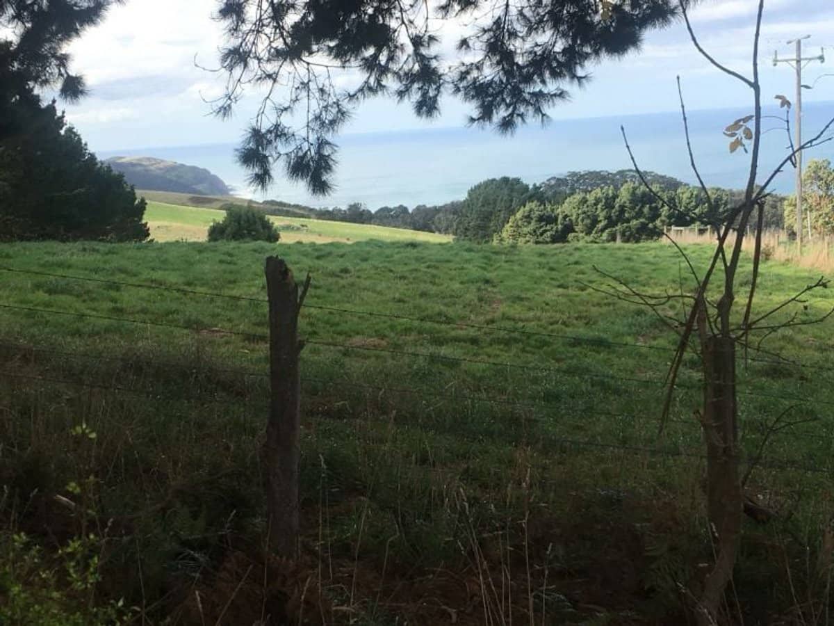 340 Sunnyside Road, Wongarra - Thumbnail 2