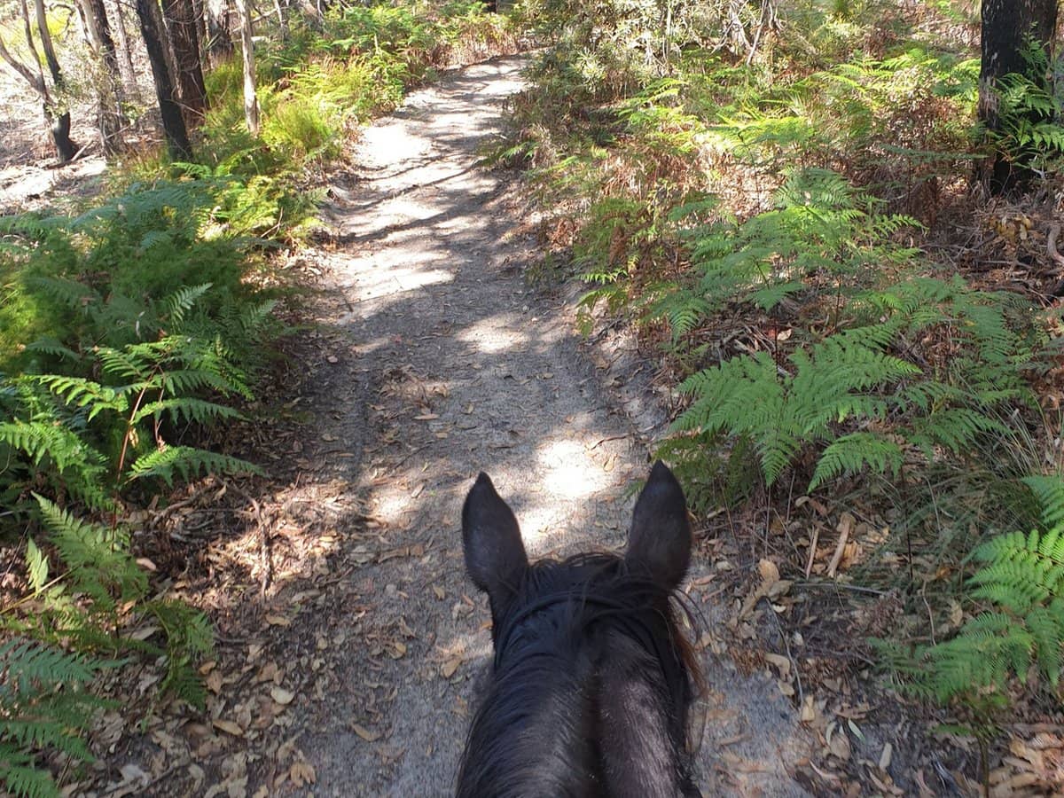 154 Danns Lane, Keith Hall - Thumbnail 3