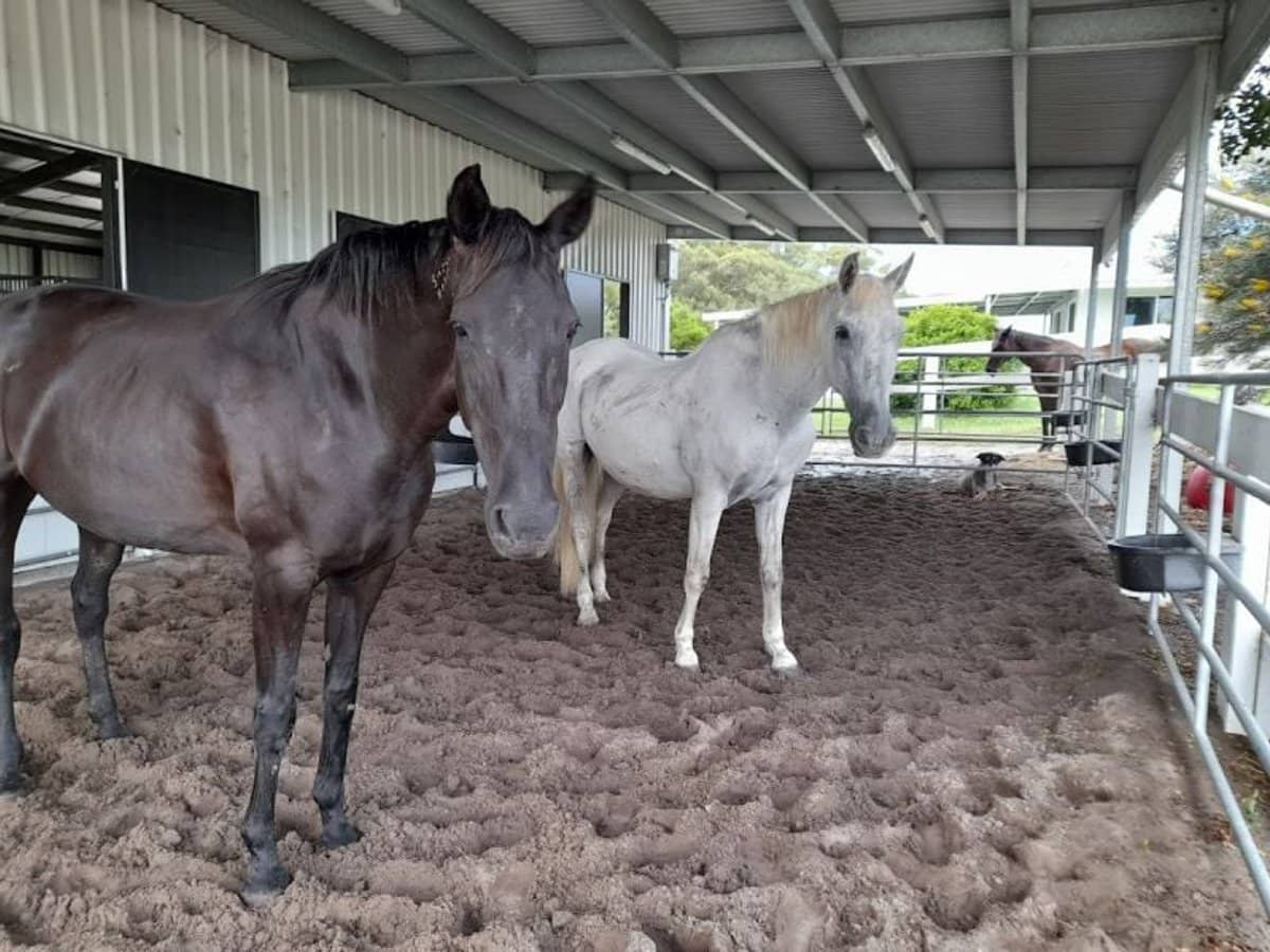 154 Danns Lane, Keith Hall - Thumbnail 18