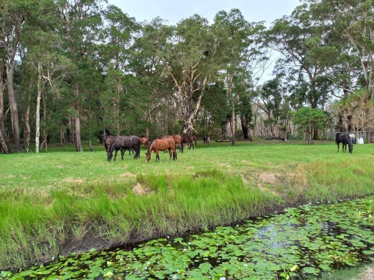 154 Danns Lane, Keith Hall - Thumbnail 24