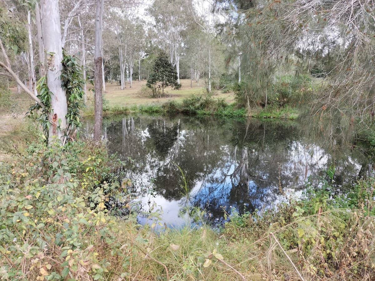 299 Begley Road, Greenbank - Thumbnail 10